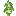 Birch sapling