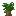 Dark oak sapling