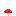 Red mushroom